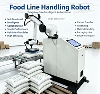 Robot de Paletización Móvil sin Programación, Robot Colaborativo para Apilado de Sacos y Cajas