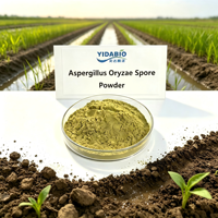YIDA Biotech Engrais Biologique à Base d'Aspergillus Oryzae, Acide Humique, Inoculant Microbien, Matière Organique pour la Décomposition du Sol