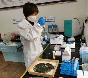 Matcha japonais de qualité supérieure EU, pour bar à thé au lait, poudre de thé vert frais, perte de <span class=keywords><strong>poids</strong></span>, réduction de graisse, instantané - Product Image 6