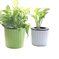 Aisimi Indoor Plastic Kwekerij Plant Potten Concurrerende Prijs Bloempot Thermovormen Maken Plastic Bloempot Voor Planten Watering