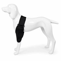 Attelle de coude pour chien en néoprène, compresse chaude et froide, tissu intérieur respirant pour soulager les douleurs articulaires et les blessures, logo personnalisé disponible