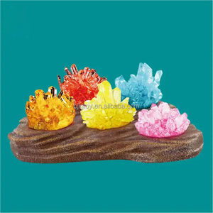 Kit expérimental de science de croissance en cristal avec vitrines facile bricolage STEM jouet expérience de laboratoire <span class=keywords><strong>cadeau</strong></span> éducatif pour enfants adolescents garçon - Product Image 2