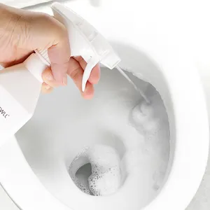 Vendita all'ingrosso pulitore della toletta di schiuma spray-Detergente per wc spray schiuma spray