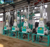 Ligne de production de farine de maïs commerciale Haiyun / Machine de traitement de semoule de maïs, moteur 30 tonnes de capacité, haute sécurité, moulin à farine 380V