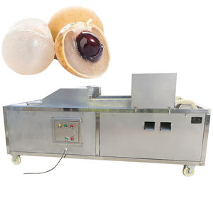 Máquina Despulpadora de Frutas de Alta Eficiencia y Gran Capacidad, Máquina para Descorazonar Dátiles, Hecha en China - Product Image 5