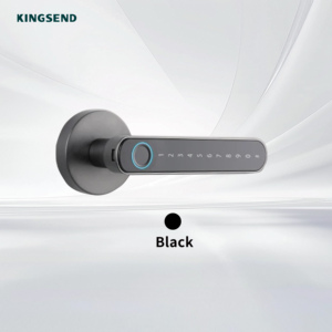 Biometric Fingerprint Password Smart Handle <strong>Door</strong> Lock with App &amp; Cloud Storage for Home Bedroom Use - Product Image 2