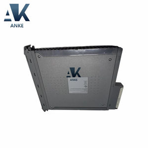 โมดูลตัวควบคุม Triplex T8191 ICS - Product Image 2