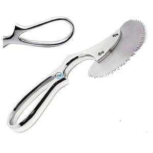 Al Mida Healthcare Surgical <b>Bone</b> <b>Saw</b> Manual Stainless Steel General Surgery Tool Class II CE Certified AMHC-R-223 ISO13485 - Product Image 2