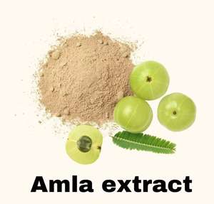 Премиум качество 100% чистый и органический экстракт амла по оптовой цене - Product Image 2
