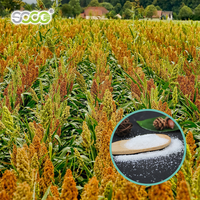 Agent de rétention d'eau élevé pour la capacité d'absorption d'eau du sol Gel sap pour la plantation agricole