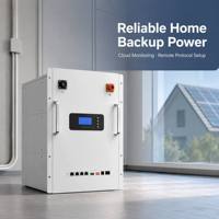 Batterie de stockage d'énergie domestique LiFePO4 montée sur rack 51,2V 100Ah 5,12kWh Batterie résidentielle modulaire LR5A