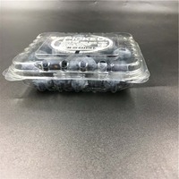 Wegwerp transparante 4.4 oz blauwe bes plastic clamshell punnet 125g plastic kersen blisterverpakking voor vers fruit