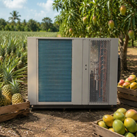 Bananenchips productiemachine warmtepomp fruitdroger voor Afrika commercieel gebruik