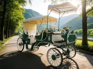 Chariot de mariage de haute qualité et abordable, style citrouille, chariot de mariée blanc - Product Image 3