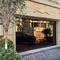 Puerta de Garaje Seccional de Vidrio sin Marco con Certificación AS2047, Control Inteligente por Wifi, Suministro de Fábrica LONGTAI para Constructores Australianos
