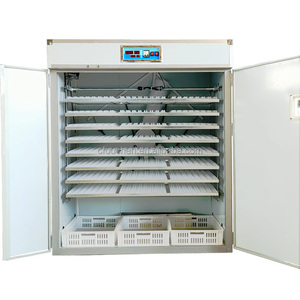 Ouchen — prise audio de poulet automatique, 2000 œufs, à bas <span class=keywords><strong>prix</strong></span>, vente en <span class=keywords><strong>jordan</strong></span> - Product Image 4