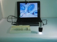 Microscope numérique USB de poche 1,3 MP, zoom 40X, 8 LED, boîtier métallique, grande molette de mise au point, indice de protection IP55, pour l'étude en entomologie