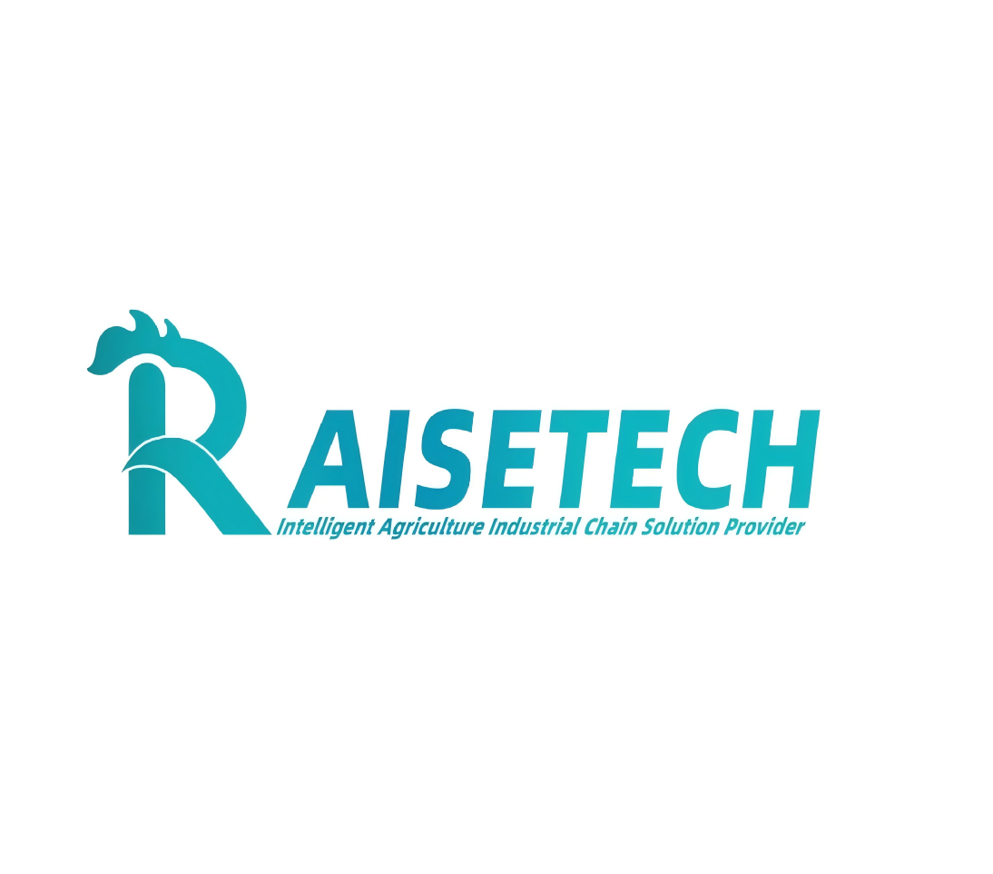 Raisetech Co., Ltd. logo