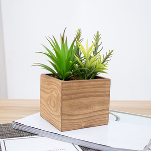Nuevo diseño barato al por mayor de increíble artificial plantas <span class=keywords><strong>suculentas</strong></span> escritorio decoración del hogar para venta - Product Image 1