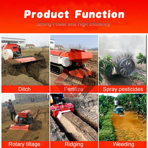 Cultivateur à chenilles Strawberry Ridge, mini-<span class=keywords><strong>motoculteur</strong></span> rotatif pour la culture des fruits - Product Image 3