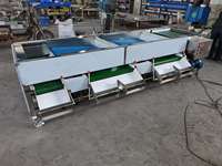Automatische Blauwe-bessen Sorteermachine Blauwe-bessen Graderingsmachine Fruit- en Groentesorteermachine