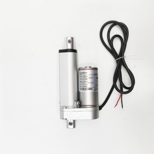 Direkt ab Werk: Bestseller Elektrischer Mikro-Linearaktuator 12V 24V 1000N für Möbel, Fenster, Türen, Roboter und Solartracker - Product Image 2