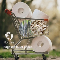 Fabricante de Papel Higiénico al por Mayor, Vende Papel Higiénico Personalizado a Granel y a Bajo Precio