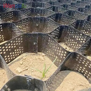 100mm 200mm 지오 셀 셀룰러 감금 시스템 포장 자갈 플라스틱 3D HDPE 지오 셀 옹벽 도로 공사를 위한 - Product Image 3
