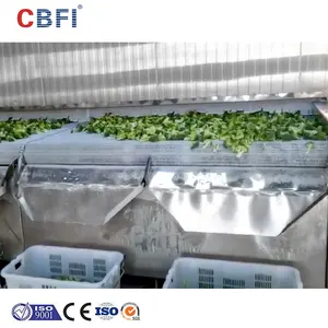 Sayuran beku Iqf Tunnel Freezer cepat brokoli Frozen