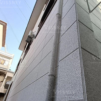 Vissney Outdoor 5D Liquid Granit Stone Peinture murale imitation 5D à base d'acrylique avec application par pulvérisation Résistance aux taches