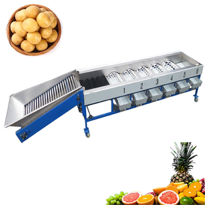 Máquina clasificadora de frutas de larga duración, máquina clasificadora de frutas por tamaño, máquina de lavado y clasificación de frutas - Product Image 1