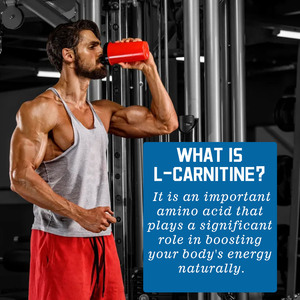 L-Carnitina Líquida OEM ODM con Sabor a Bayas para la Recuperación Muscular, Impulso de Energía Natural y Motivación - Product Image 3