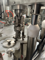 Petite ligne d'embouteillage (Lavage-Remplissage-Bouchage 3-en-1) – Machine de remplissage et de bouchage pour petites bouteilles PET