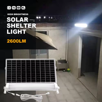 Solar-Linearleuchte Tri-Proof 2600lm IP66 Wasserdicht Getrenntes Solarpanel 42CM Außenbereich Garage Flur LED-Röhrenleuchte
