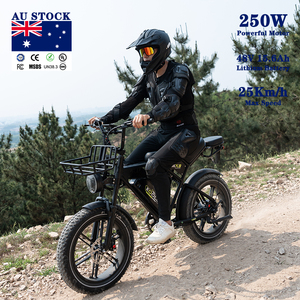 KOOLUX X9 AU <b>Electric</b> Bike Rear <b>Hub</b> Motor Brushless Fat Tire Dual Lithium Battery fatboy - Product Image 4