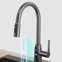 Robinet de cuisine contemporain en laiton à montage sur plan avec double poignée, douchette extractible, finition noire, garantie 5 ans