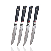 Nouvelle arrivée 4 pièces 5 pouces 67 couches VG-10 couteau à steak damas ensemble de couteaux à steak ultra pointus avec poignée G10