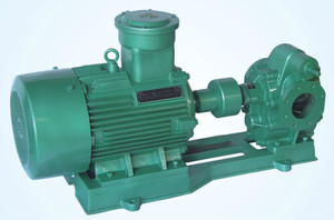 Bomba de engranajes de agua eléctrica rotativa, <span class=keywords><strong>marca</strong></span> Lanco, estándar, 2CY-18/6-2 (2CY-18/6-2) - Product Image 4