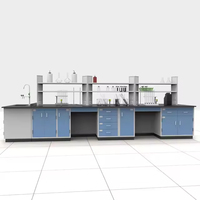 Prix d'usine, banc de travail de laboratoire chimique, taille personnalisée, mobilier de laboratoire, 1 ensemble