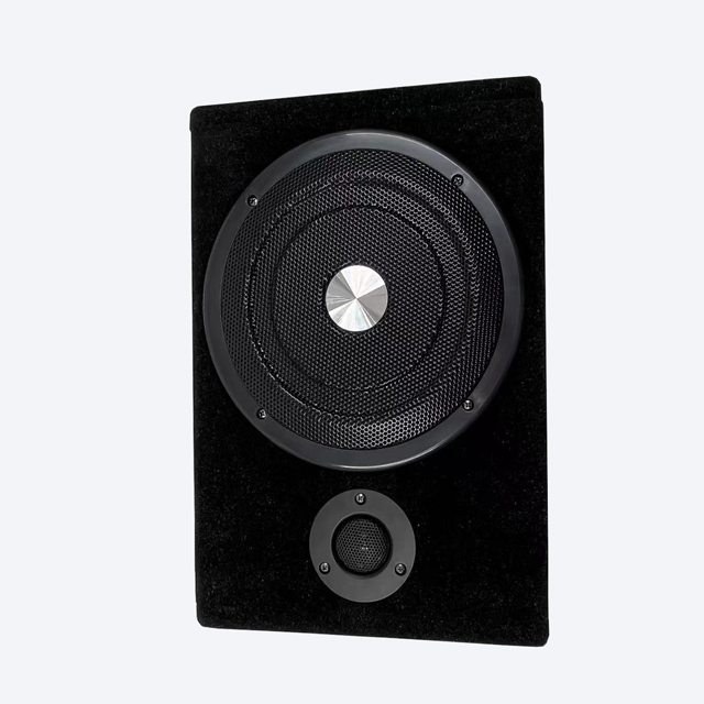 High Quality Big Power Active Subwoofer 8 Inch Car Audio Subwoofer Bass Under Seat Ultrathin Car Subwoofer