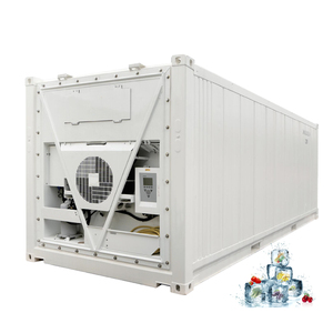 Chambre froide mobile de 30 tonnes pour la maturation des bananes et l'élevage de volailles au <span class=keywords><strong>Japon</strong></span> - Product Image 3