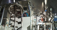 Mélangeur émulsifiant homogénéisateur sous vide XINYOU pour mayonnaise, machine industrielle compacte pour la fabrication de mayonnaise