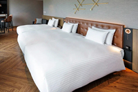 Ensemble de canapés trois places rembourrés, modernes, durables et luxueux, parfaitement assortis, pour les chambres d'hôtes des hôtels étoilés, des appartements et des villas