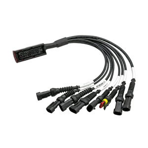 Harnais de câblage ECU personnalisé pour véhicule agricole, 1 mètre, étanche IP65, âme en cuivre, isolation PVC, connecteur automobile - Product Image 1