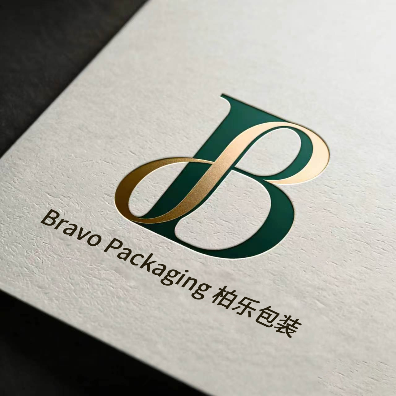 Guangzhou Bravo Industrial Co., Ltd. logo