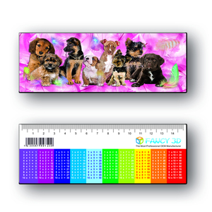 Vendita calda 15CM Logo personalizzato fatto da te 3D lenticolare stampa plastica senza righello pieghevole - Product Image 2