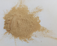 Fournisseur d'usine, extrait de levure en poudre, soluble dans l'eau, protéines brutes, origine Shandong, réactifs chimiques, réactifs spécifiques