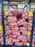 Verse pure witte knoflook groenten groothandelsprijs Optimum merk gaas zakken Top kwaliteit nieuwste oogst geëxporteerd Shandong China