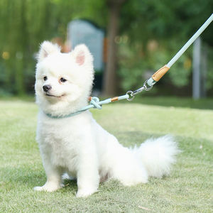 Tali Kekang Anjing Tahan Lama Kualitas Premium Tali Panjat Gunung Memimpin Kerah Anjing Kuat dan Mengarah Menarik Anjing Besar Sedang - Product Image 6