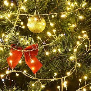 Cắm Trong Pháo Đèn Ấm Trắng Dây Đồng Trong Nhà Cụm Cổ Tích Đèn Với Từ Xa Hẹn Giờ Cho Phòng Ngủ Cây Giáng Sinh - Product Image 4